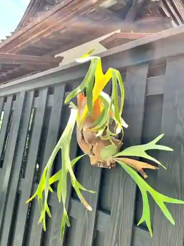 三柱神社(福岡県)
