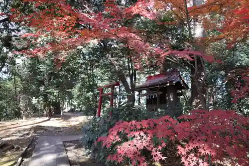 谷保天満宮(東京都)