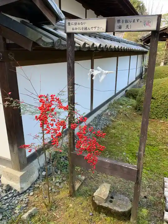 雲龍院(京都府)