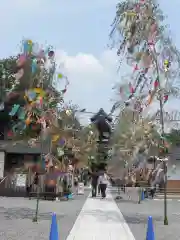 高台寺（高台寿聖禅寺・高臺寺）(京都府)