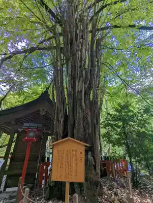 貴船神社(京都府)