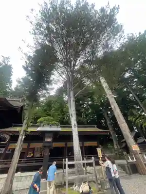 諏訪大社下社秋宮(長野県)