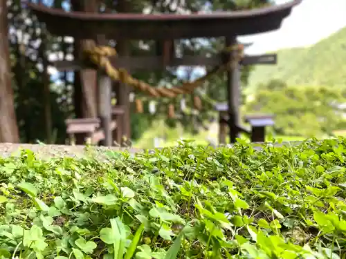 子檀嶺神社の鳥居