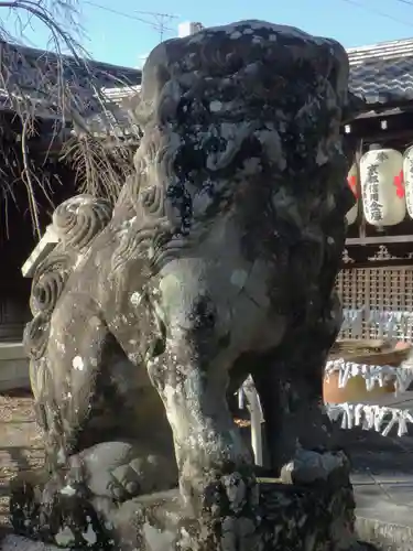 縣神社の狛犬
