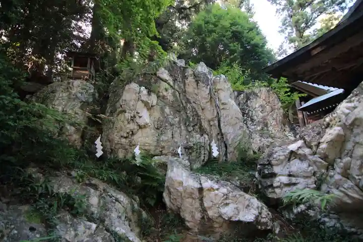 鹿島大神宮の自然