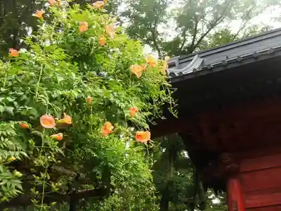 妙本寺のその他建物