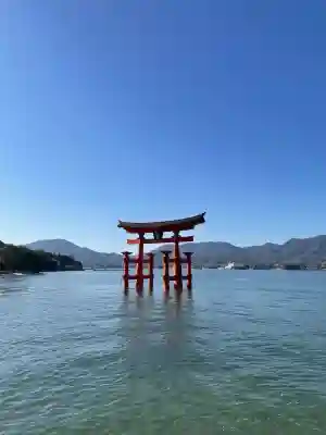厳島神社の{uncategorized: "未分類", other: "その他", undefined: "問題あり", building: "その他建物", grave: "お墓", sacred_gate: "鳥居", guardian: "狛犬", statue: "像", buddha: "仏像", history: "歴史", nature: "自然", garden: "庭園", animal: "動物", pagoda: "塔", temizu: "手水舎", mountain_gate: "山門・神門", sanctuary: "本殿・本堂", subordinate: "末社・摂社", art: "芸術", scenery: "景色", jizo: "地蔵", ema: "絵馬", goshuin: "御朱印", omikuji: "おみくじ", items: "授与品その他", amulet: "お守り", goshuincho: "御朱印帳", eats: "食事", festival: "お祭り", votive_dance: "神楽", shichigosan: "七五三参", wedding: "結婚式", experience: "体験その他", initially: "初詣", around: "周辺", anti_infection: "感染症対策"}