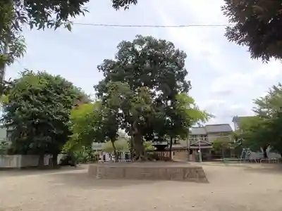 小森社(賀茂別雷神社末社)のその他建物