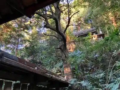 建水分神社(大阪府)