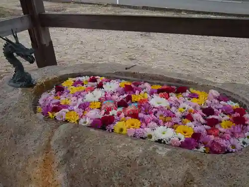 金井神社の手水舎