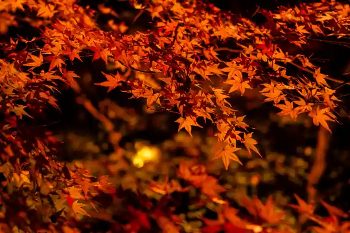 北野天満宮(京都府)
