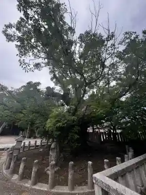 洲本八幡神社(兵庫県)