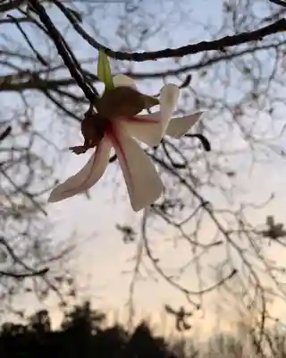 滑川神社 - 仕事と子どもの守り神(福島県)