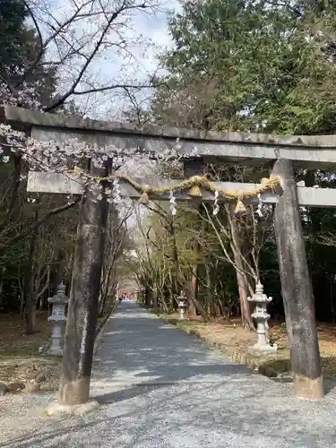 大原野神社の鳥居