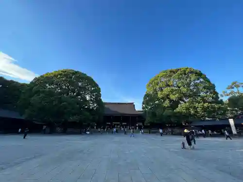 明治神宮(東京都)
