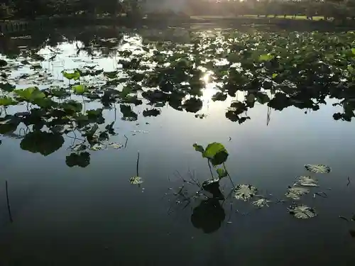 牟禮山観音禅寺の庭園