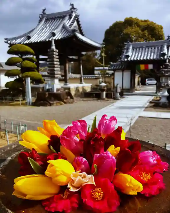 真言宗 善通寺派 薬王寺(香川県)