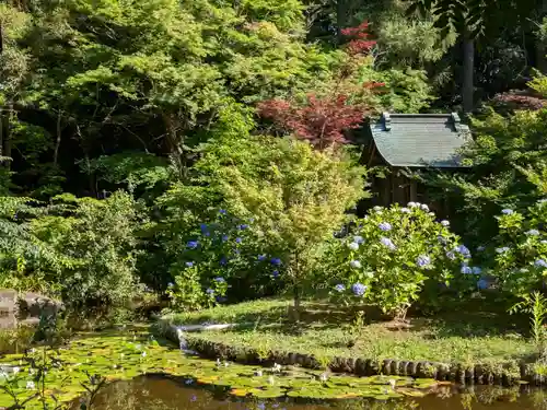 本土寺の庭園