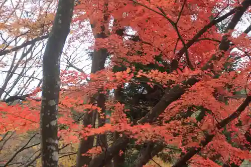 三春大神宮の自然