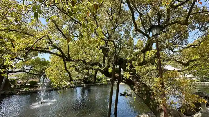 太宰府天満宮の自然