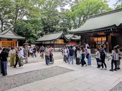 川越氷川神社(埼玉県)