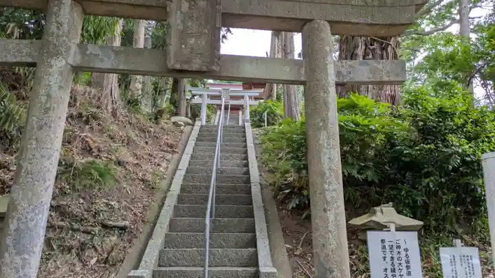 阿久津「田村神社」(郡山市阿久津町)旧社名:伊豆箱根三嶋三社(福島県)