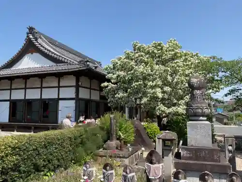 佛國山 天性寺(愛知県)