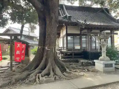 諏訪大神社 (埼玉県)