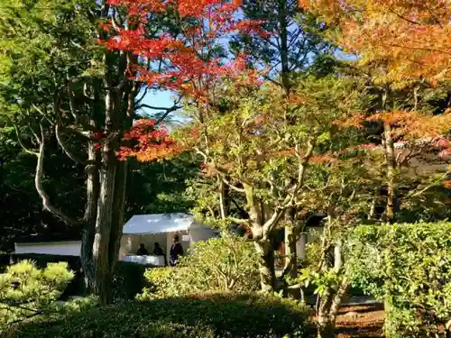 即宗院の建物その他