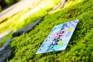 尻岸内八幡神社の御朱印(2023年06月01日(木) 20時39分52秒投稿)