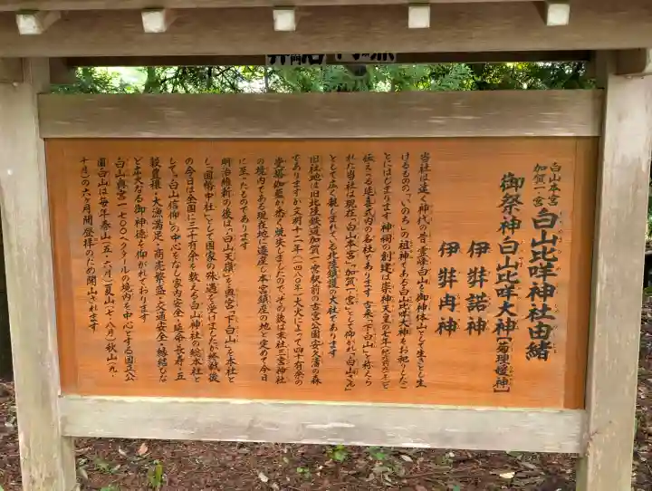 白山比咩神社の{uncategorized: "未分類", other: "その他", undefined: "問題あり", building: "その他建物", grave: "お墓", sacred_gate: "鳥居", guardian: "狛犬", statue: "像", buddha: "仏像", history: "歴史", nature: "自然", garden: "庭園", animal: "動物", pagoda: "塔", temizu: "手水舎", mountain_gate: "山門・神門", sanctuary: "本殿・本堂", subordinate: "末社・摂社", art: "芸術", scenery: "景色", jizo: "地蔵", ema: "絵馬", goshuin: "御朱印", omikuji: "おみくじ", items: "授与品その他", amulet: "お守り", goshuincho: "御朱印帳", eats: "食事", festival: "お祭り", votive_dance: "神楽", shichigosan: "七五三参", wedding: "結婚式", experience: "体験その他", initially: "初詣", around: "周辺", anti_infection: "感染症対策"}