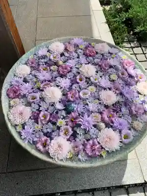 行田八幡神社(埼玉県)