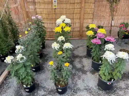 本願寺（西本願寺）(京都府)