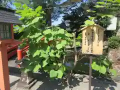 宝来山神社(和歌山県)