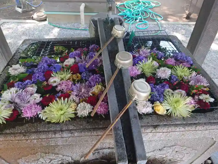 上野総社神社(群馬県)