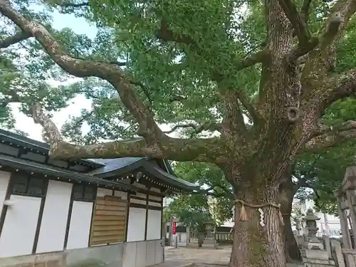 素盞嗚尊神社の自然