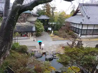 達磨寺(群馬県)