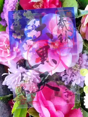 5月のスケルトンの御朱印✨