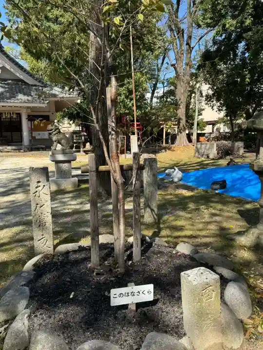 綿神社の{uncategorized: "未分類", other: "その他", undefined: "問題あり", building: "その他建物", grave: "お墓", sacred_gate: "鳥居", guardian: "狛犬", statue: "像", buddha: "仏像", history: "歴史", nature: "自然", garden: "庭園", animal: "動物", pagoda: "塔", temizu: "手水舎", mountain_gate: "山門・神門", sanctuary: "本殿・本堂", subordinate: "末社・摂社", art: "芸術", scenery: "景色", jizo: "地蔵", ema: "絵馬", goshuin: "御朱印", omikuji: "おみくじ", items: "授与品その他", amulet: "お守り", goshuincho: "御朱印帳", eats: "食事", festival: "お祭り", votive_dance: "神楽", shichigosan: "七五三参", wedding: "結婚式", experience: "体験その他", initially: "初詣", around: "周辺", anti_infection: "感染症対策"}