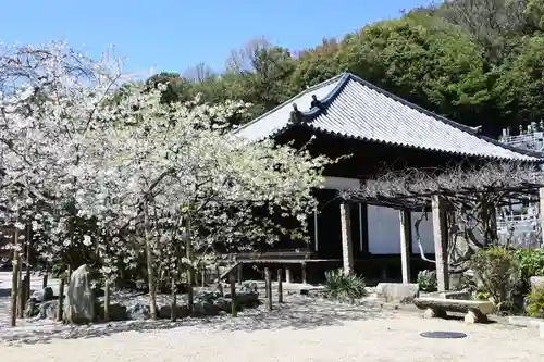 大宝寺(愛媛県)