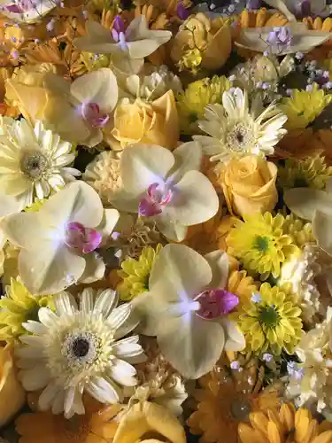 札幌諏訪神社の手水