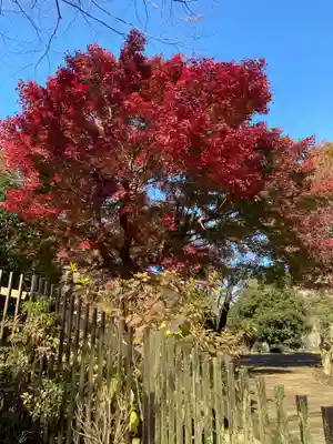 永福寺跡（永福寺址）の自然