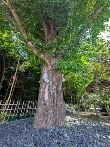 市谷亀岡八幡宮(東京都)