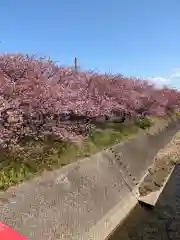 かっぱの寺 栖足寺の自然