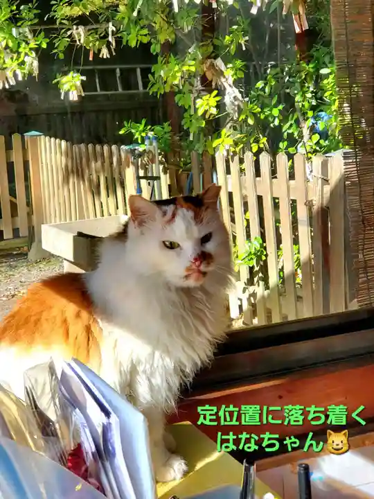阿邪訶根神社(福島県)