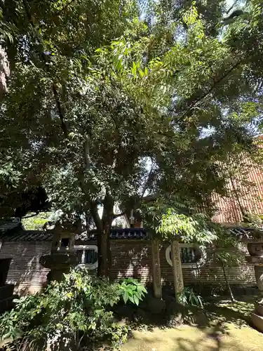 赤坂氷川神社(東京都)