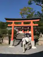 宇治神社の鳥居