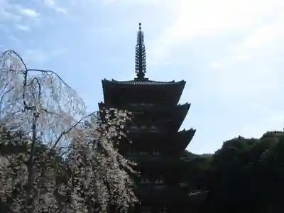 醍醐寺の塔