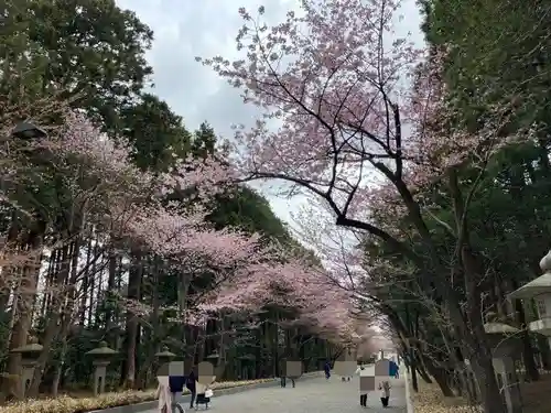 北海道神宮の景色