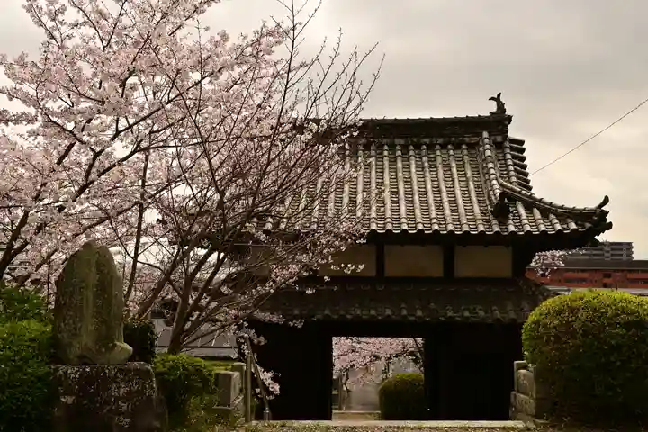 海禅寺(愛媛県)